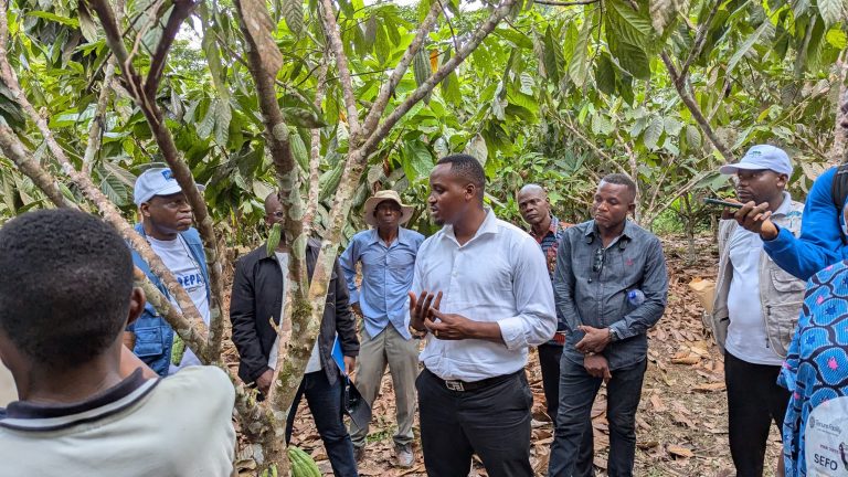 RDC_TSHOPO_SUD-KIVU : UNE COLLABORATION POUR UNE GESTION DURABLE DES FORÊTS.
